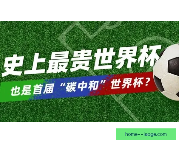 世界杯官方合作伙伴宣布实现碳中和飞行 助力环保与赛事可持续发展